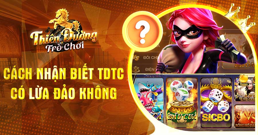 TDTC Có Lừa Đảo Không? Sự Thật Ít Ai Biết